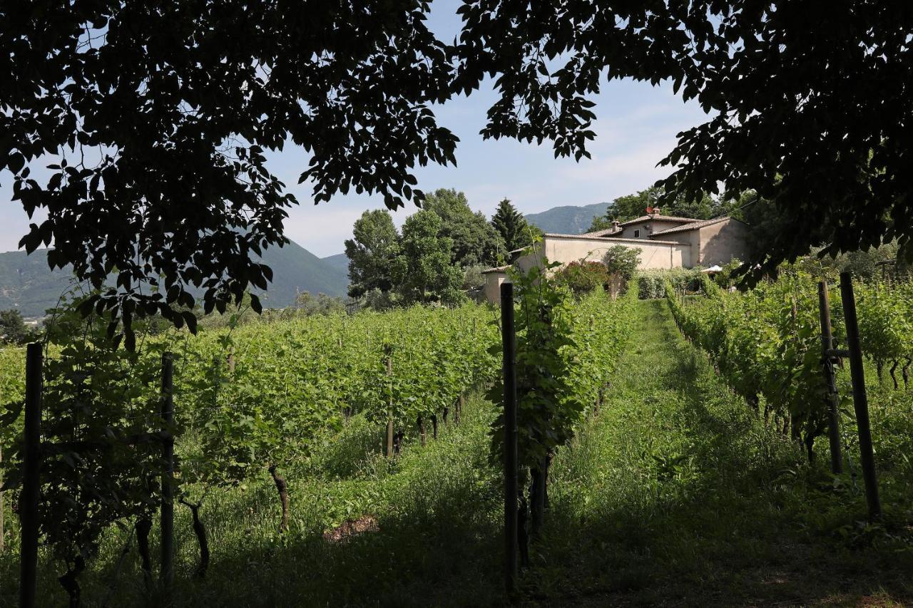 Serene Holiday And Wine Farm Affi Kültér fotó